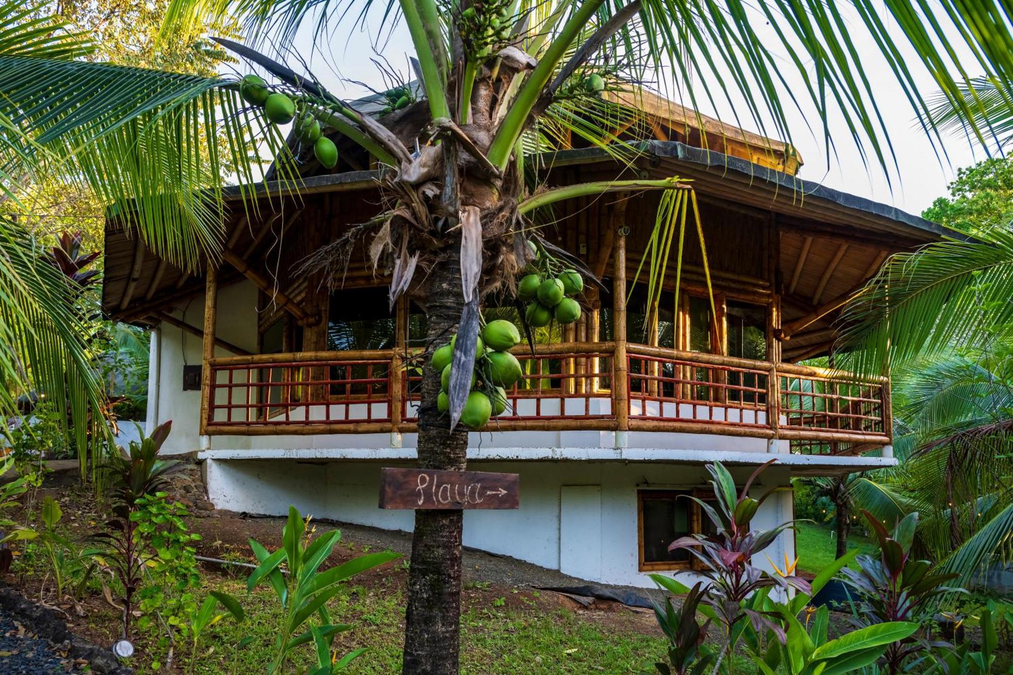 Eco-Lodge Deseo Bamboo Santa Catalina Exterior foto