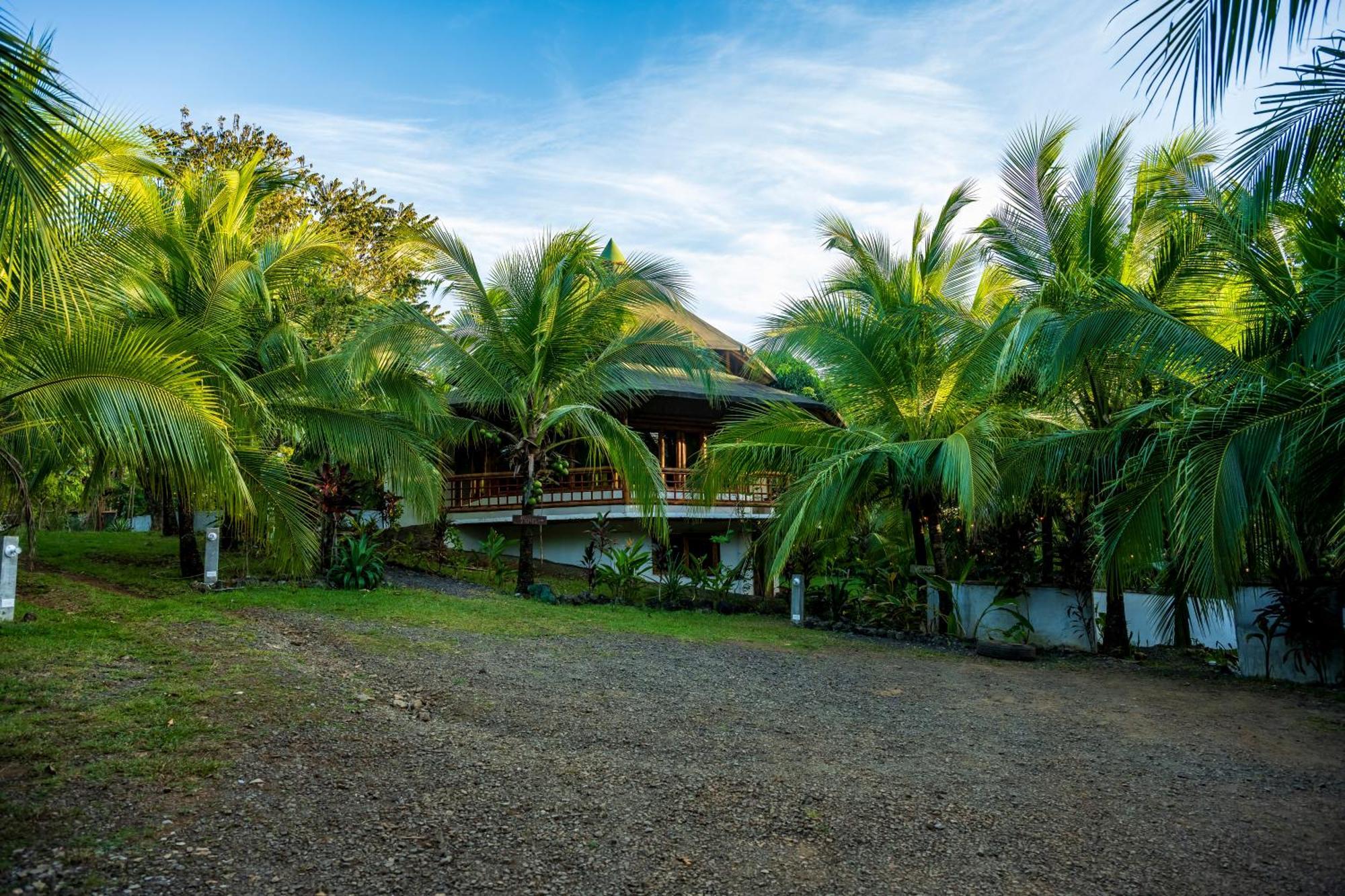 Eco-Lodge Deseo Bamboo Santa Catalina Exterior foto